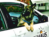 1203 wer kommt denn da