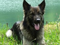 Aegerisee 0603