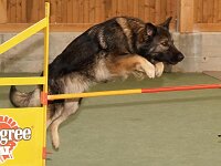 Training in Sch ftland Mai 04 2