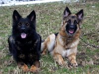 Rascal mit Freundin Hera1