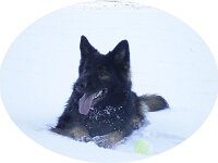 Rookie  Bes.: Rita Marlen Feisel