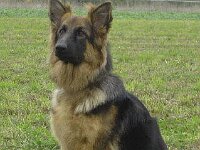 008 Unique Sitz 9 Monate