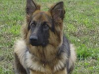 009 Unique Platz 9 Monate