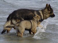 216 Vaive Ahtoish 10 03