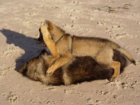 221 Vaive Ahtoish 10 03