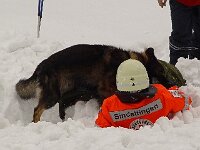 cid part3 01050704 04070806 tulpenweg