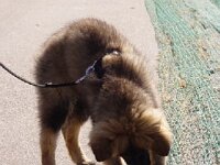 218 Vaive Ahtoish 10 03