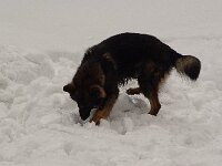 cid part1 08050607 09050401 tulpenweg