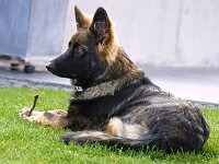 1034 Aufpassen2 11 03