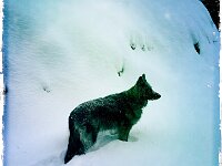 2926c3595f05b93332fc3303c1fb5167