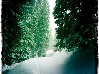 3256031146d86c10a8c01e89a295fffc