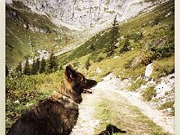 3b856075f4399688003a21658ae42db0