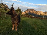 4d31fca73ab126939c4d3a67c83bac0a