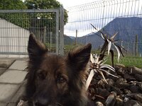 8a8ea515d436e74e3ad9715604f0f402