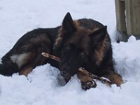 Neuschnee 9504 22 12