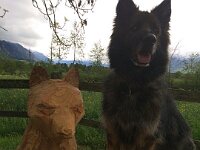 Venice 11 Jahre alt (2)