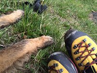 Venice 11 Jahre alt (5)