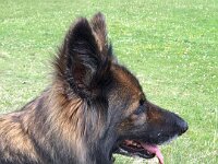 Venice und Rico (10)