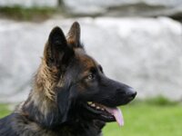 Venice 2278 14 05 001