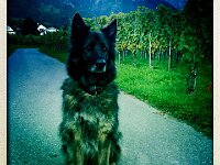 f050f78da3584af70f65b8e21fb5244d