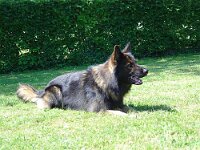 Ringtrainingabschluss 19 06 2005 066