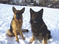 Rocky Viper23 12 2007 2