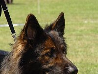 DSC04694