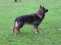 K rung und Ringtraining 16 10 2005 028