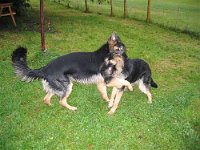 Wayne, 25.8.2003 - 13.5.2013