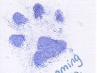 1010 Wyoming 1 Wochen