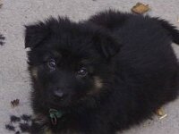 1021 Wyoming 6 Wochen