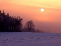 14 jan 2006 zeit 8h
