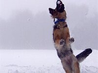 Schnee juheee JPG1 001