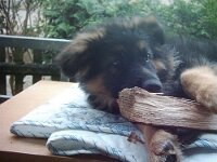 gleicht gibt s Chemine Holz