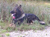 Askan  Bes.: Petra Haupt