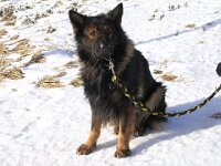 Askan  Bes.: Petra Haupt