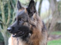 Berylle BH1, 19.8.2005 - 27.5.2018