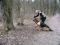 Cymba  BH3, FH15 Kl.3, SKG SCS Therapiehund, 9.4.2006 - 15.10.2018