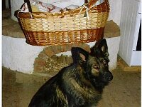 Dayna, ich passe uf!
