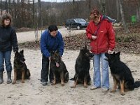 Chayna Dolce Dexter und Lara