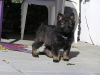 Fayla