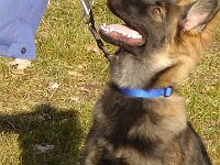 Fayla
