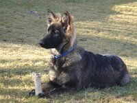 Fayla
