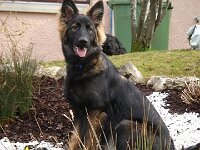 Fayla