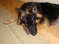 Galubka-Rai  Bes.: Ruth und Rolf Röthlisberger