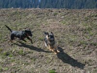 Galubka-Rai  Bes.: Ruth und Rolf Röthlisberger