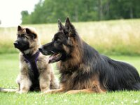 Merlin und Ivo  Bes.: Renata Eggenberger