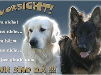 Gamma  Bes.: Renata Eggenberger