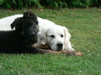 Gamma  Bes.: Renata Eggenberger