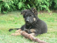 Gamma  Bes.: Renata Eggenberger